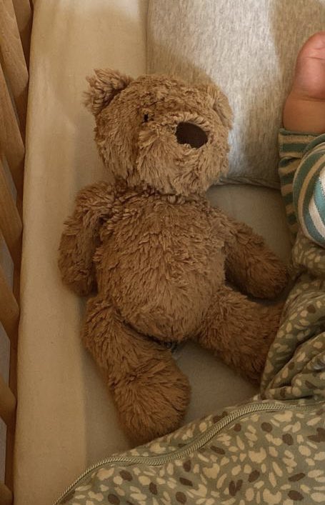 Toddler’s beloved teddy fell out of her buggy in Holyrood Park today and we are DEVASTATED. It’s been her best pal since she was tiny and goes to bed and to nursery and everywhere with her 😔🧸