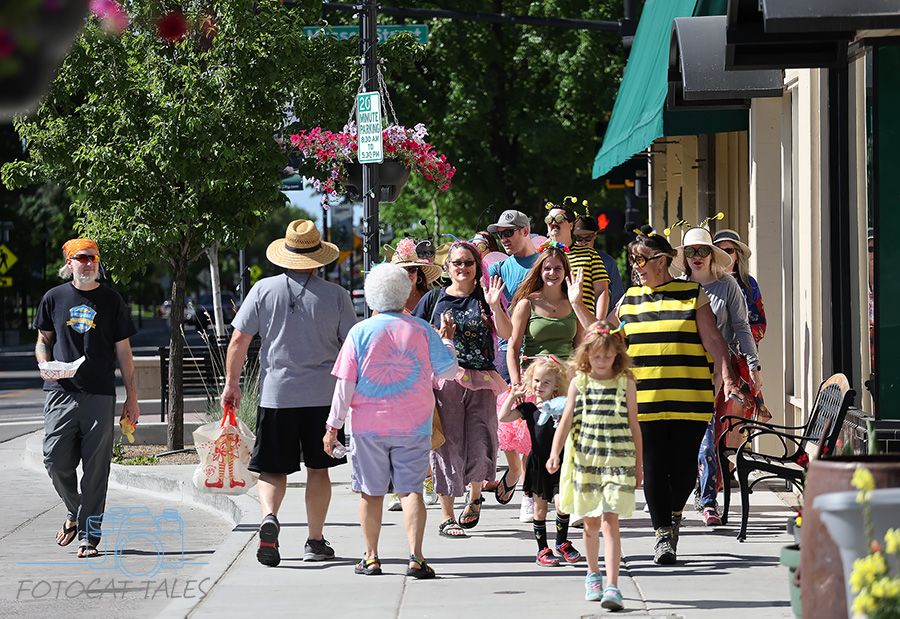 FotoCatTales's tweet photo. Carson's Bee City USA #76 celebrated Pollinator Month with a Pollinator Parade through downtown #CarsonCity for the photos of the day. https://t.co/au917yd163