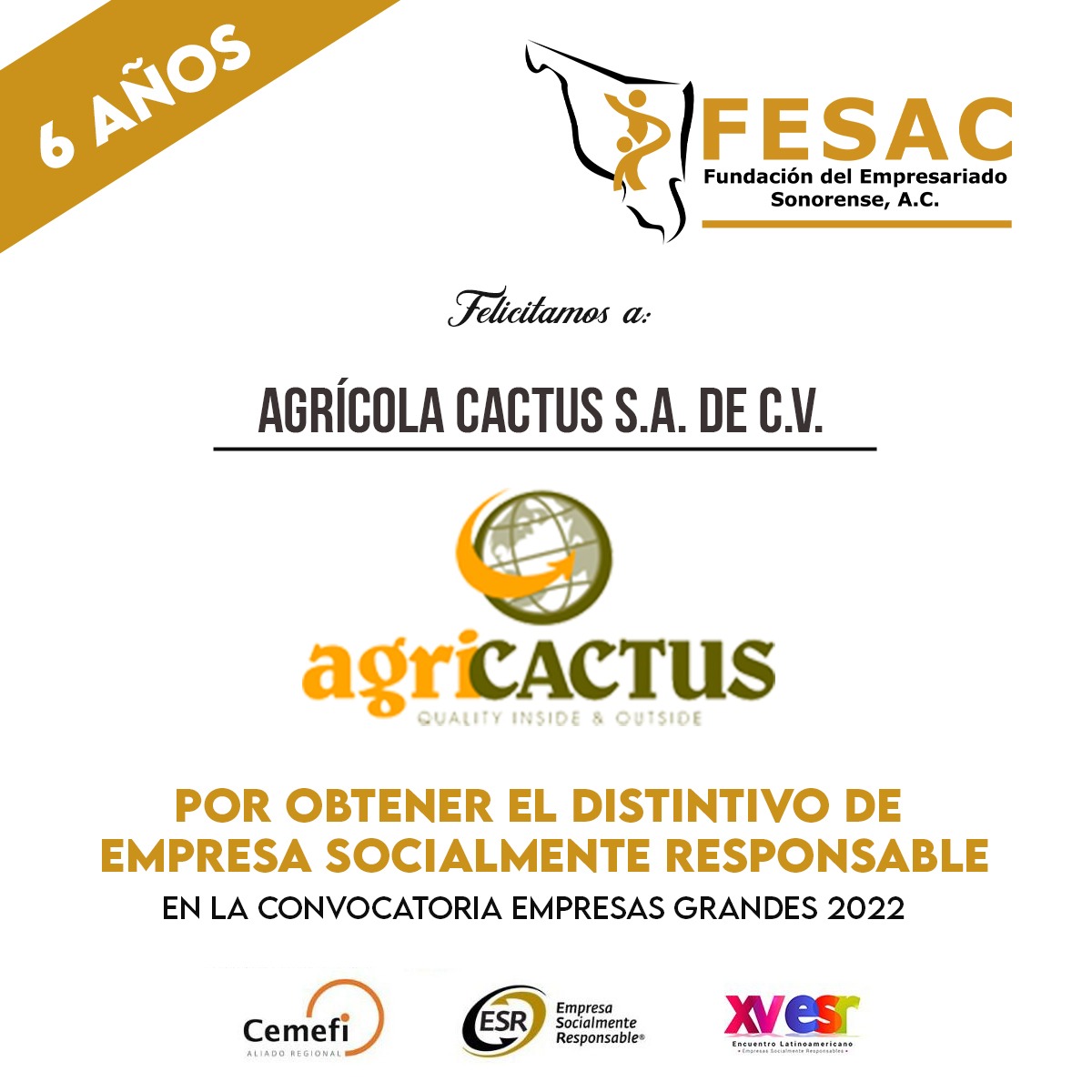 FESAC's tweet image. 