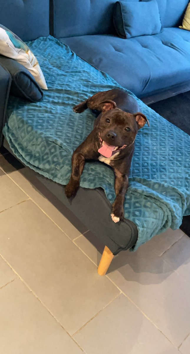 Franck SD tweet media