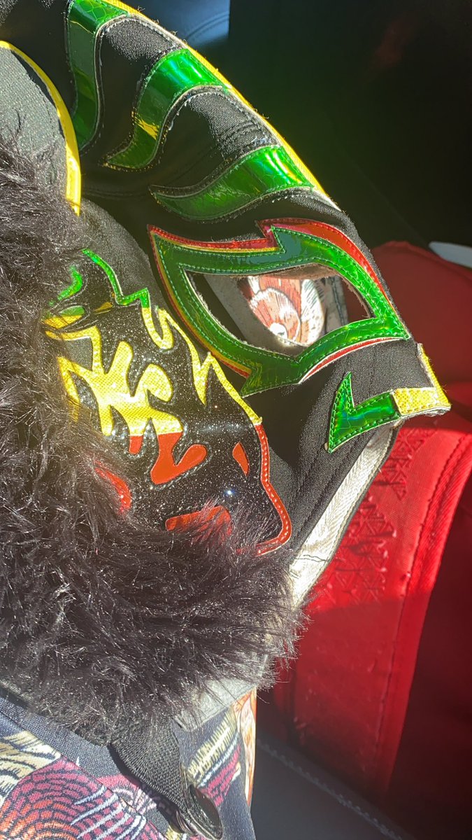LuchadorLD's tweet photo. #luchalit #hogjudas @HOGwrestling https://t.co/UQsTbKJC7D