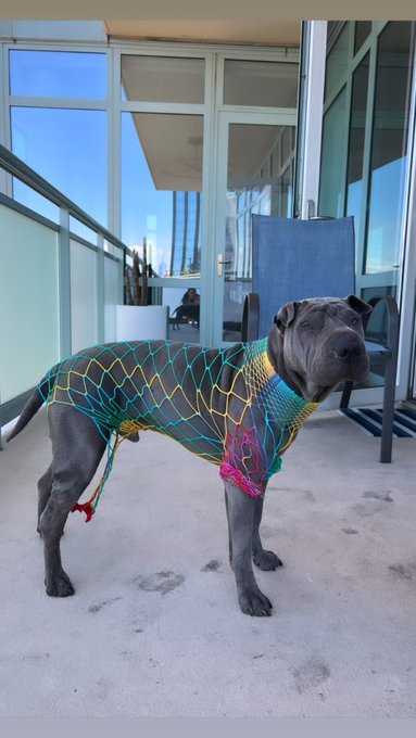 1 pic. Getting ready for #pride https://t.co/7Y4SPfogT1