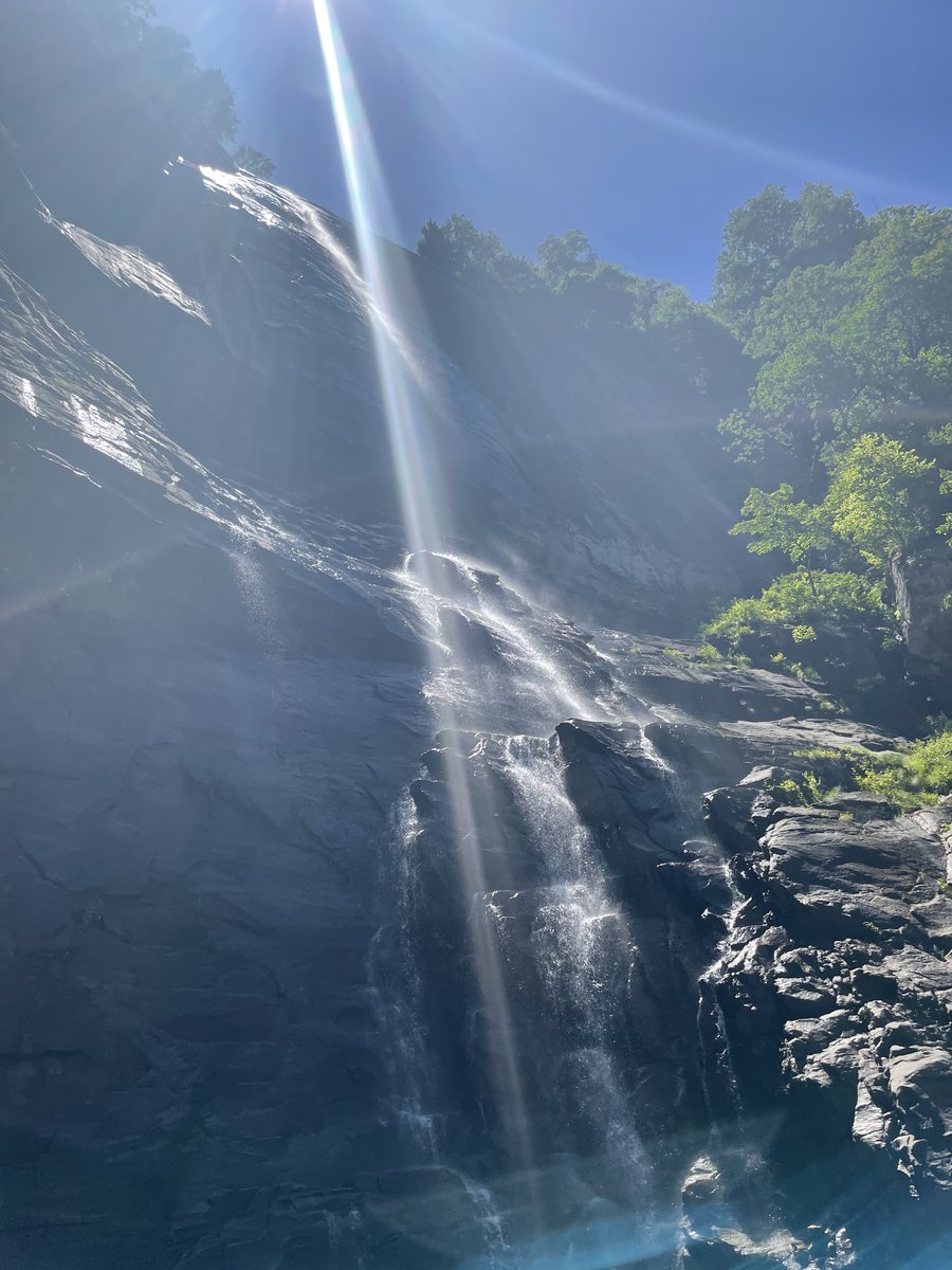 @PRF2022 tweet media