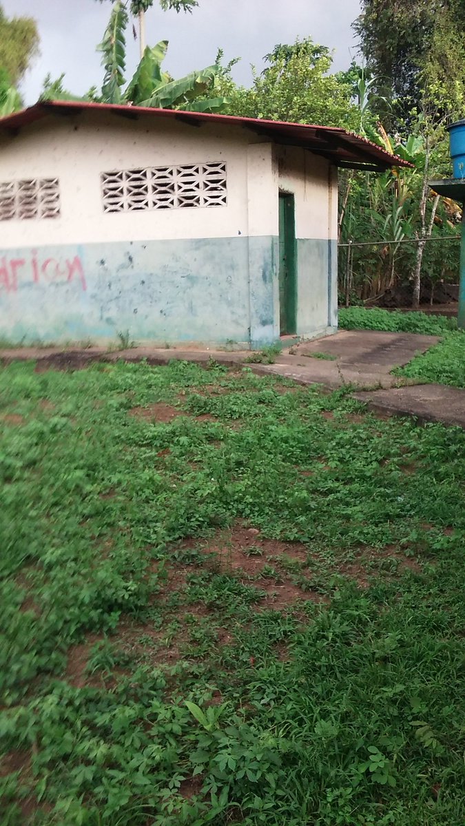 julioehernand12's tweet photo. La Escuela Unitaria 307 332 ubicada en el caserío Apostadero, municipio Sotillo, Barrancas del Orinoco, se encuentra en deplorables condiciones; sin agua, luz, falta de seguridad, no hay presencia educativa #BricomilesMiEscuelaBella @_LaAvanzadora @ErnestoLunaPsuv @Barretogladys_ https://t.co/w6G7L8naXN
