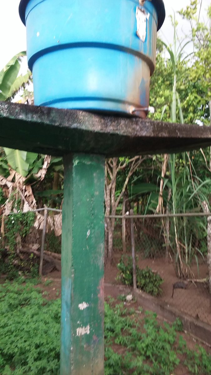 julioehernand12's tweet photo. La Escuela Unitaria 307 332 ubicada en el caserío Apostadero, municipio Sotillo, Barrancas del Orinoco, se encuentra en deplorables condiciones; sin agua, luz, falta de seguridad, no hay presencia educativa #BricomilesMiEscuelaBella @_LaAvanzadora @ErnestoLunaPsuv @Barretogladys_ https://t.co/w6G7L8naXN