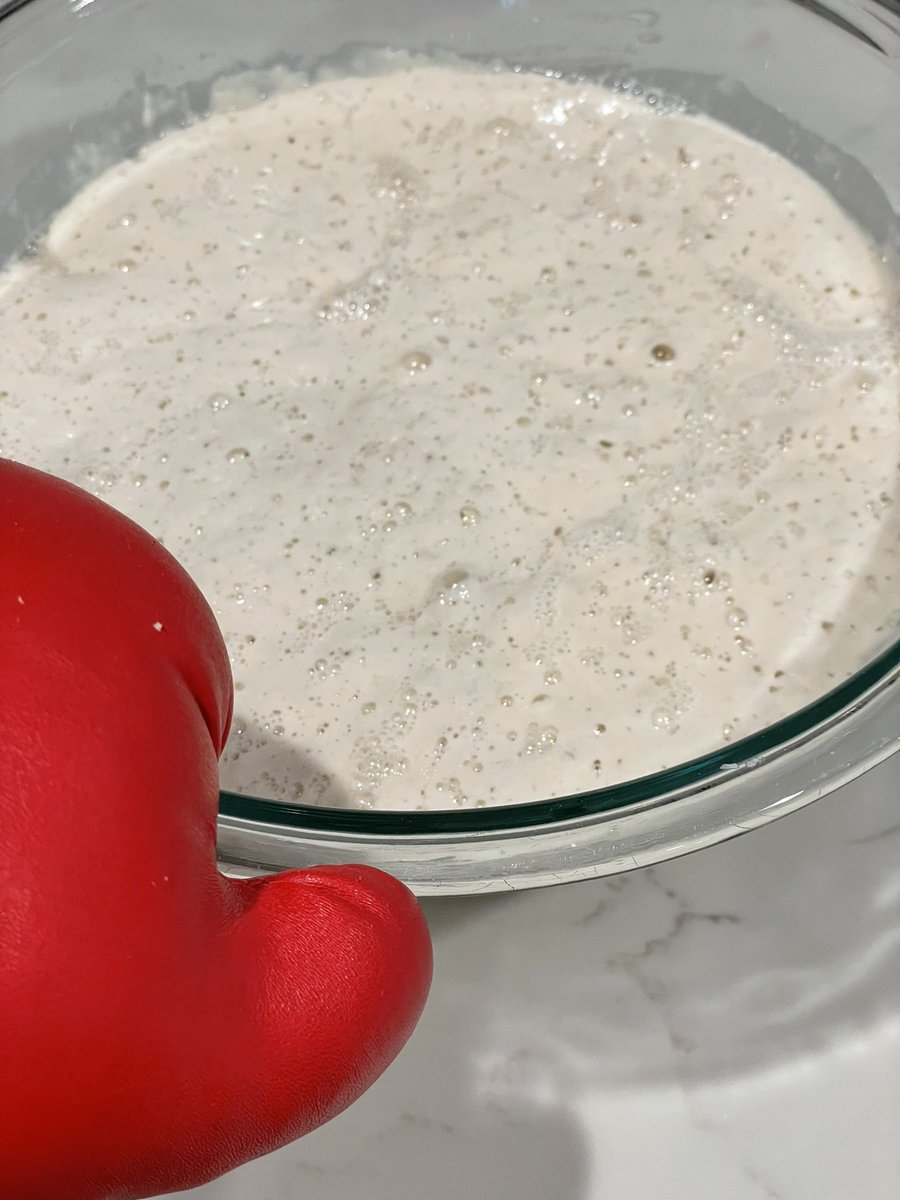 punchingpandas's tweet photo. Time for sourdough
#chefpanda https://t.co/1CcuQ0LYJl