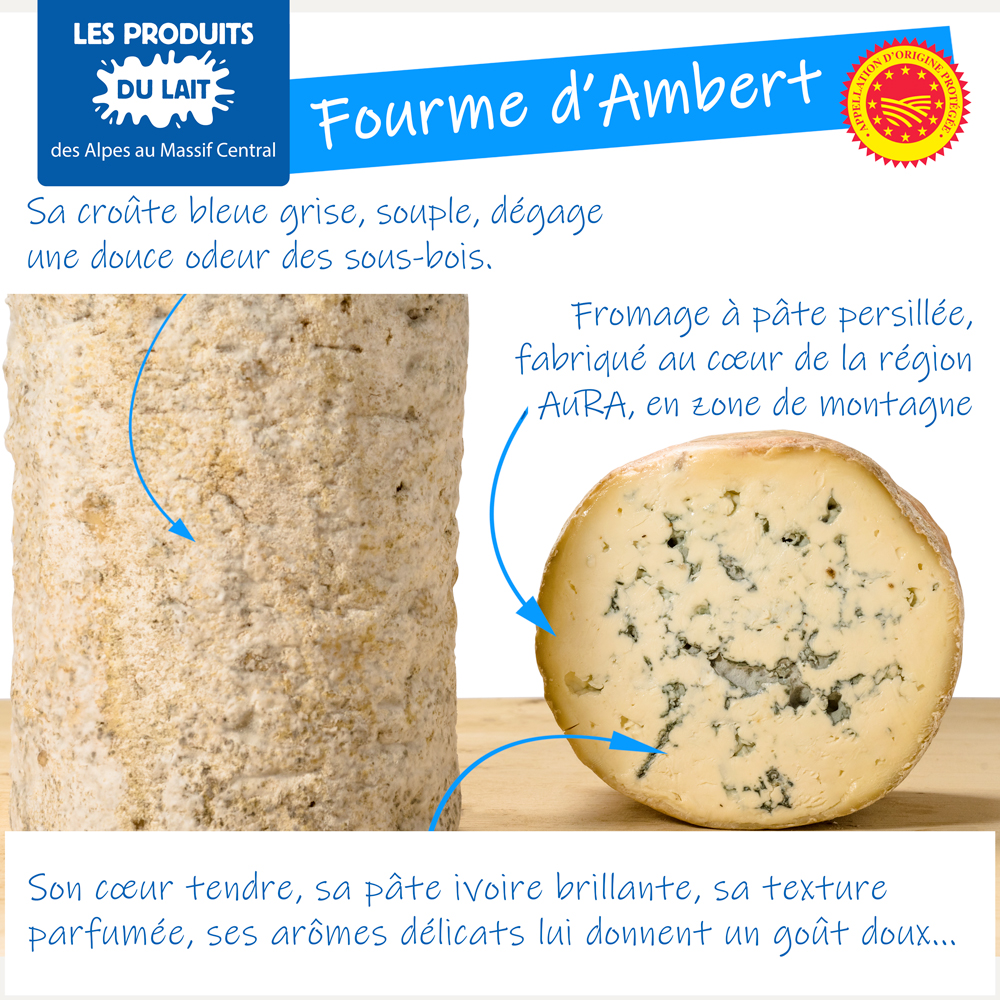 CrielAMC's tweet photo. Son poids est compris entre 1,9 et 2,5 kg sur une hauteur de 17 à 21 cm : veuillez retrouver la Fourme d'Ambert AOP. 🌟 C'est un #fromage à pâte persillée au lait de vache fabriqué en zone de montagne. #AOP #MangerAOP #lait #nutrition #fromagissons #FourmeAmbert https://t.co/MqOothqeN5