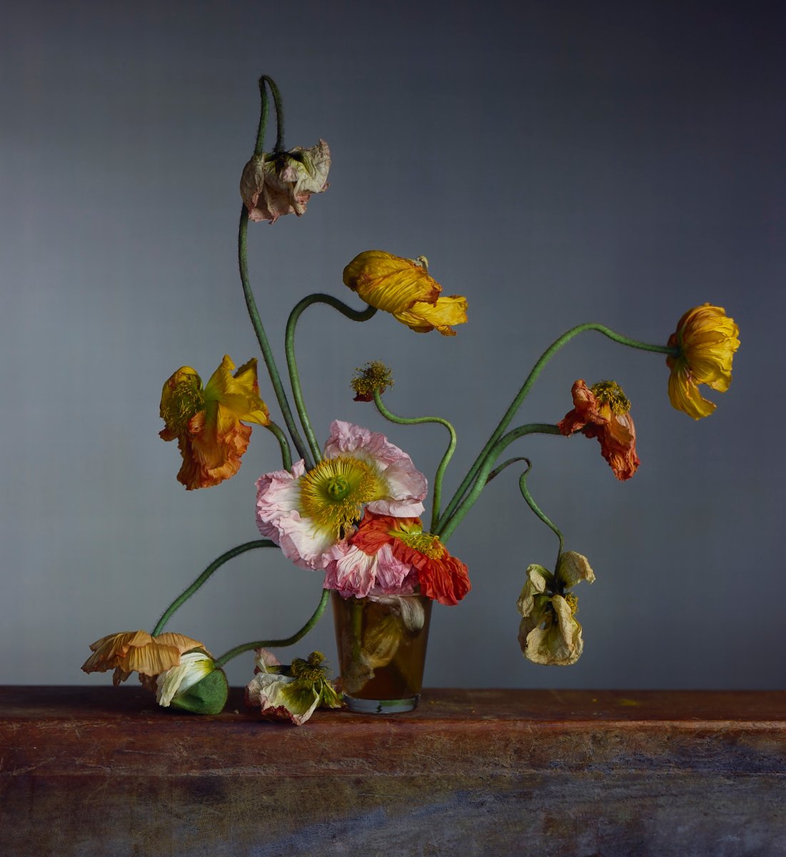 Aesthetica Magazine tweet media