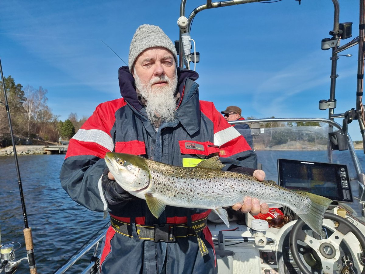 RapalaProguide's tweet image. Rapala Kallan fiskade grymt bra återigen! 
Nytt blogginlägg av Micke Puhakka

Tidigare i våras körde jag årets första havsöringfiske, och bra gick det! 9 st kontakter med havsöring (3 st landade), samt utöver det ä...... Läs mer rapalaproguide.se/2022/06/rapala…