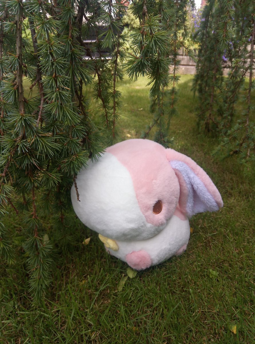 Flitterkriz's tweet image. Took photos of Murphy, Tsuki and Kichi with the nice weather today!
Maybe I should get a cam and take more and propper once? Can&apos;t wait to get more #puffpals so the fun can really begin! This #plushys you can by from @fluffnest