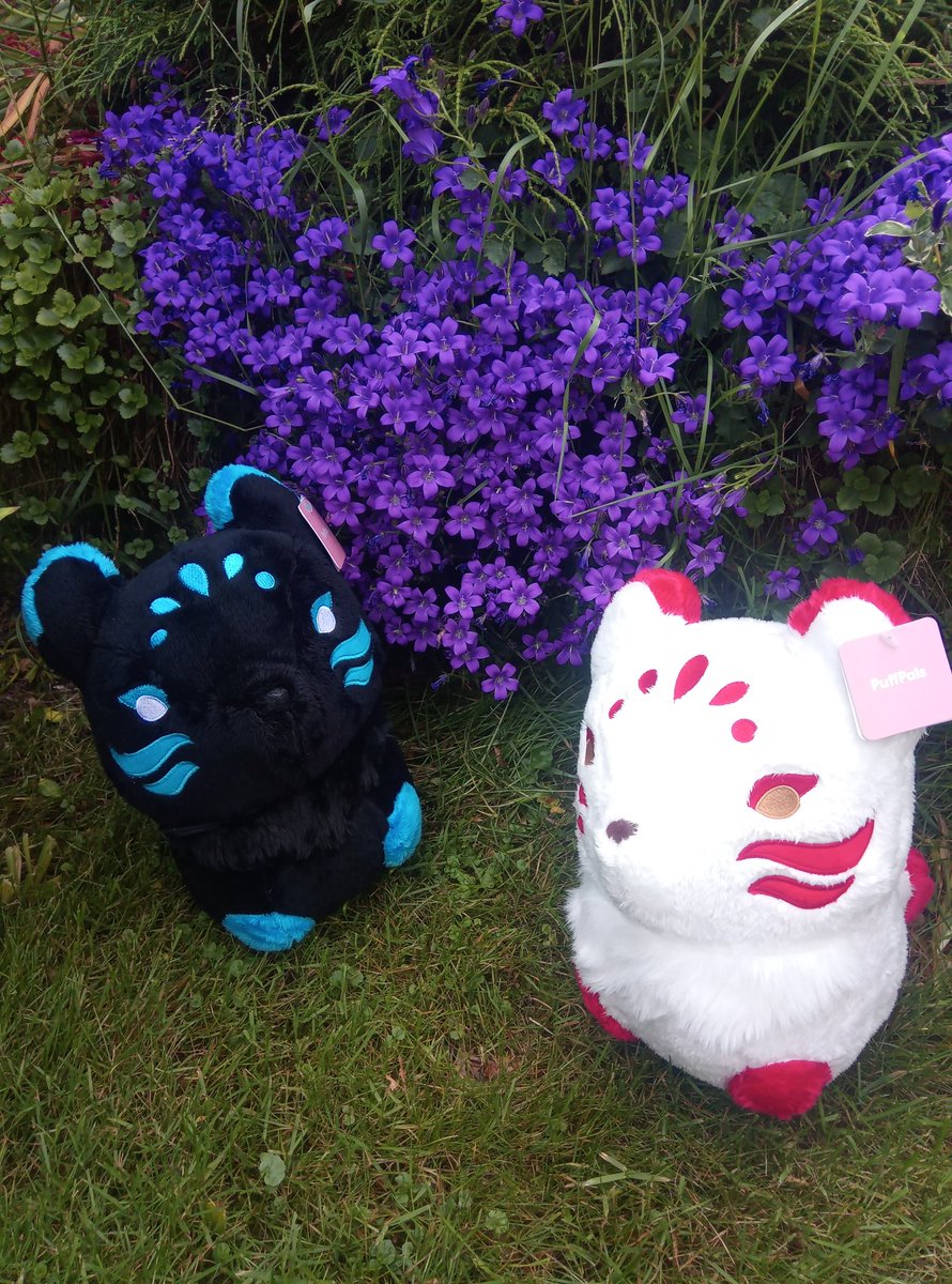 Flitterkriz's tweet image. Took photos of Murphy, Tsuki and Kichi with the nice weather today!
Maybe I should get a cam and take more and propper once? Can&apos;t wait to get more #puffpals so the fun can really begin! This #plushys you can by from @fluffnest