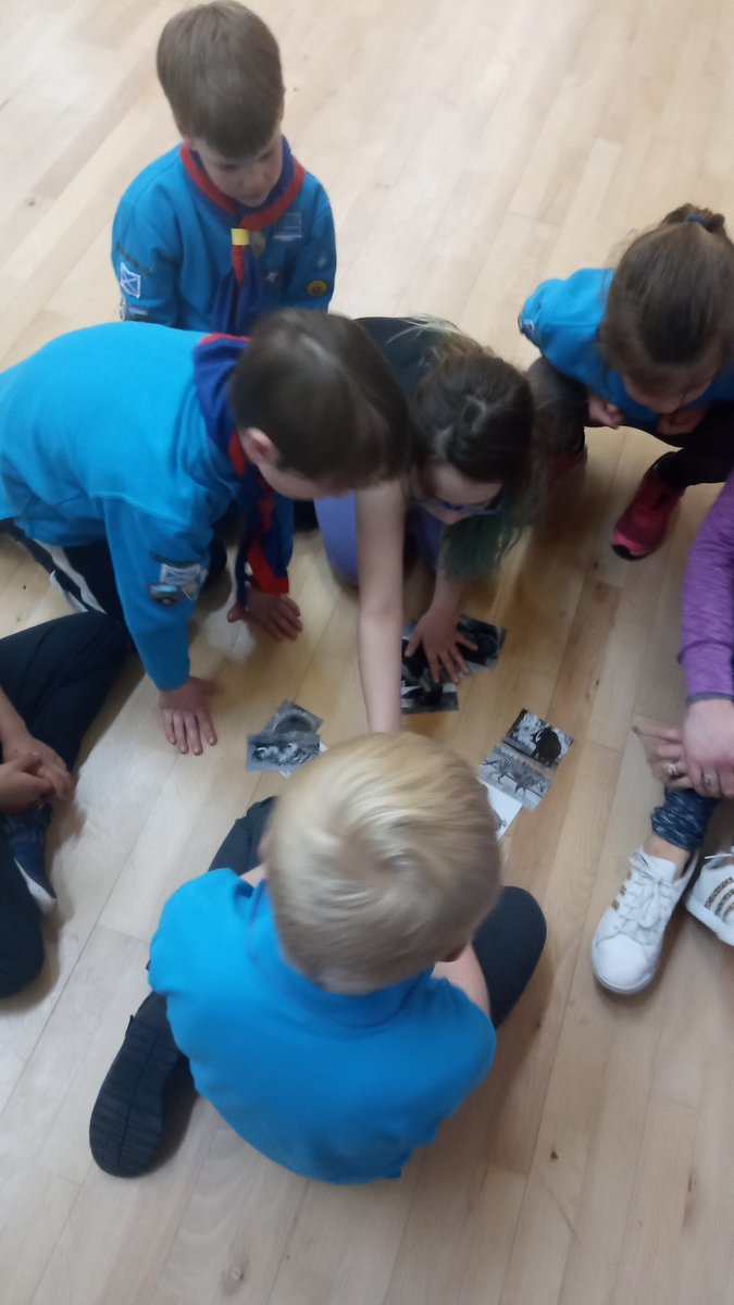 We hope our amazing leaders and volunteers have a well deserved rest. ☀ 

All the sections have done some amazing activities for all the young people this term. Scouting is alive and thriving at the 75th 100 years on from the first meeting.

#WeR75th #Scouting #100YearsOfThe75th