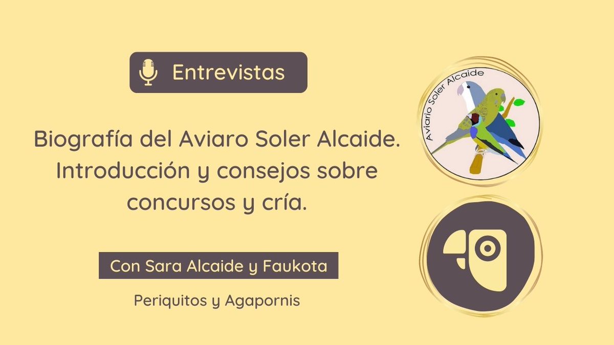 faukota's tweet photo. Entrevista a Sara, del Aviario Soler Alcaide.

Sara es criadora federada de #periquitosAustralianos y #Agapornis Fisher.

Además de ser juez nacional.👩‍⚖️🦜

https://t.co/7yacUj2gIj https://t.co/goBz67OpTT