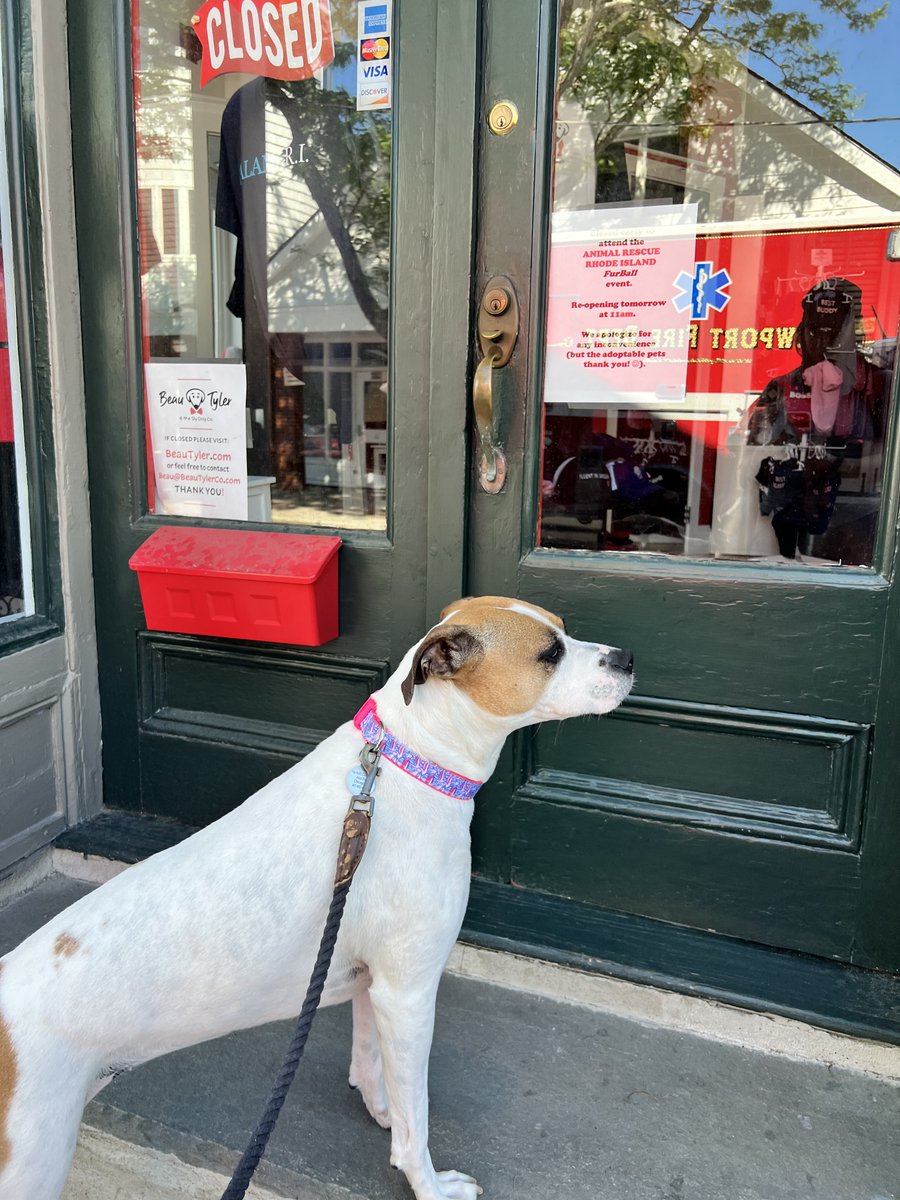 BeauTylerCo's tweet photo. (We really need to open up earlier 🙁)

#beautyler #friendsofbeau #Lola #newportri #laughlovelick https://t.co/B0XHsh1vzt