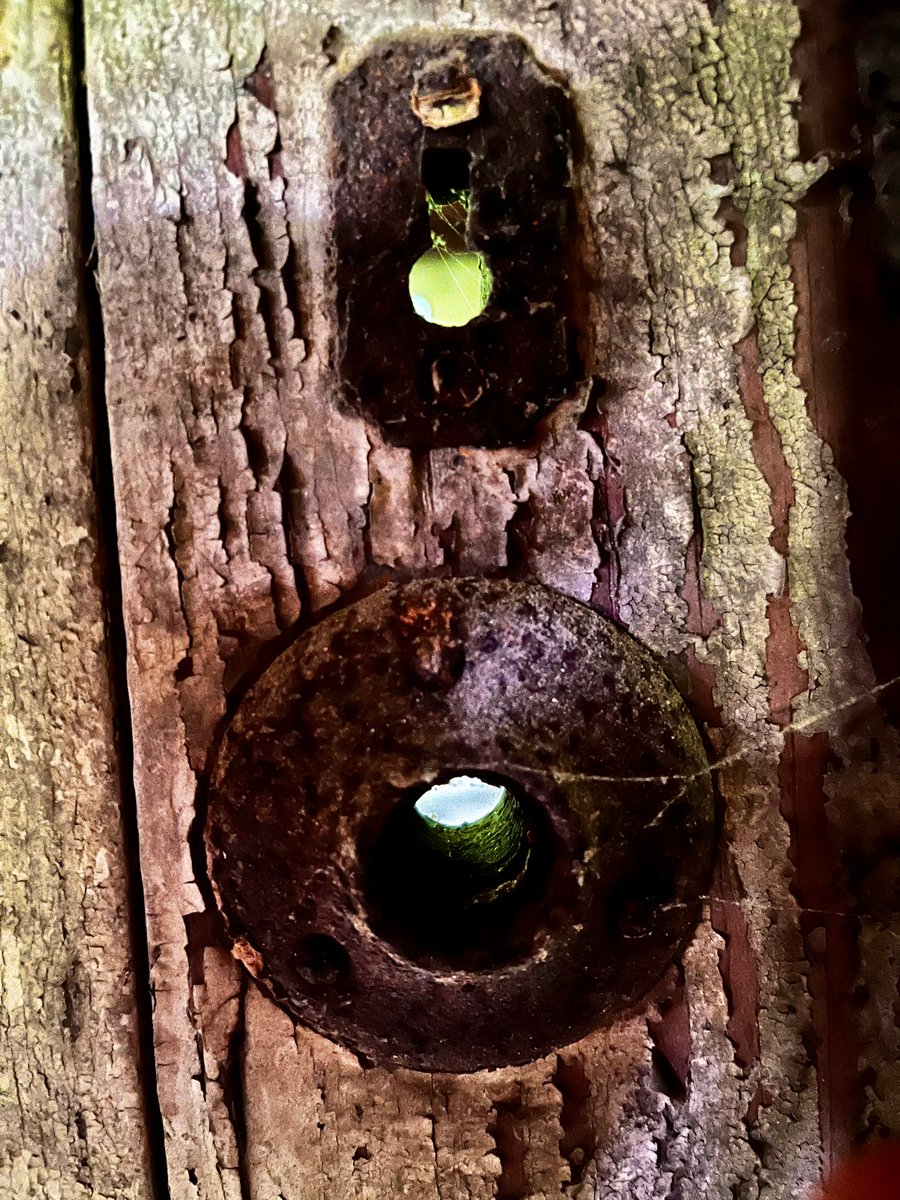 SCVMD & Adventures tweet media