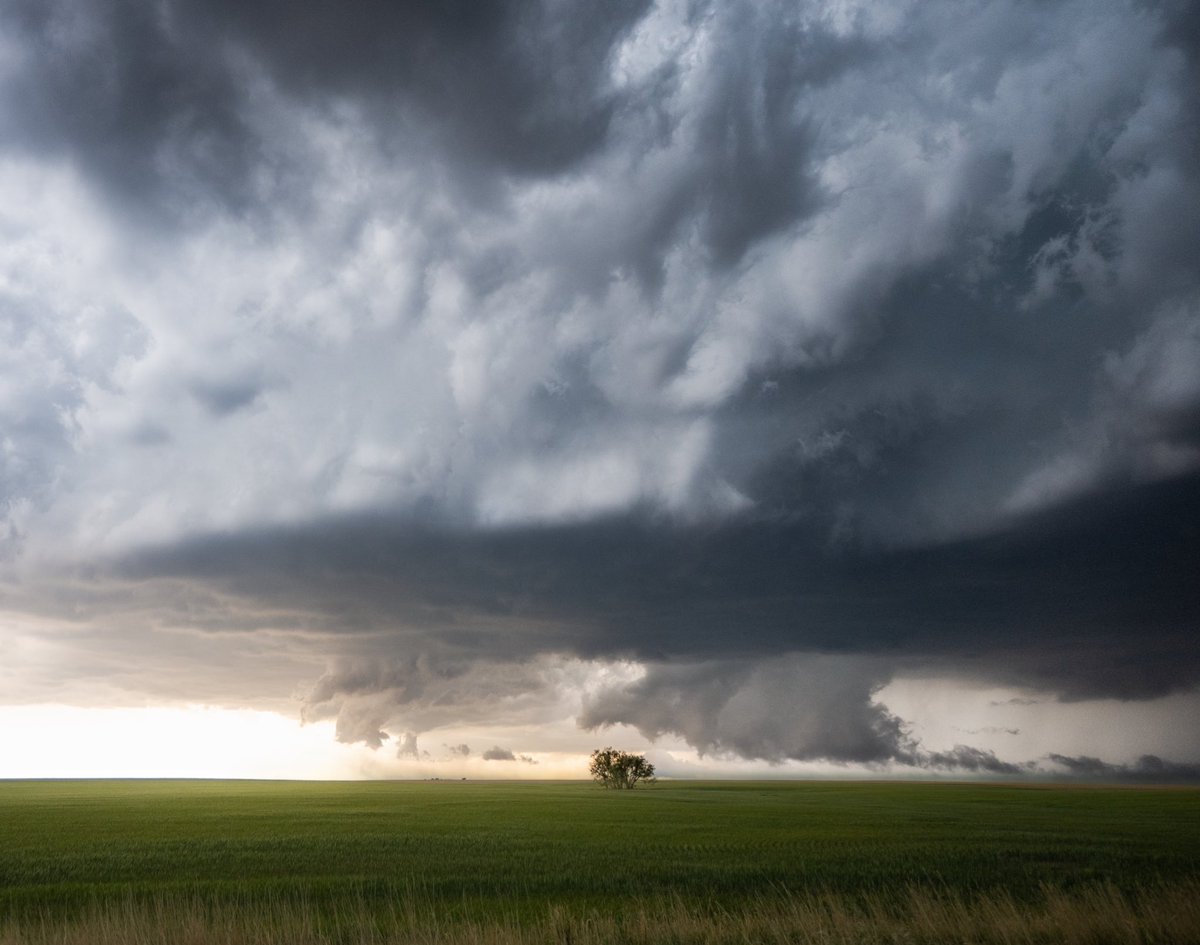 Someone recently inspired me to look a little more closely at what nature has to offer us. Sometimes we overlook something so simple and forget the beauty it holds 🌳

📸 <a href="/NikonUSA/">NikonUSA</a> z6ii
Lens: @TamronUSA 
Tripod: <a href="/BenroTripods/">Benro USA</a> 

#stormchaser #wxtwitter #storm #nikonnofilter