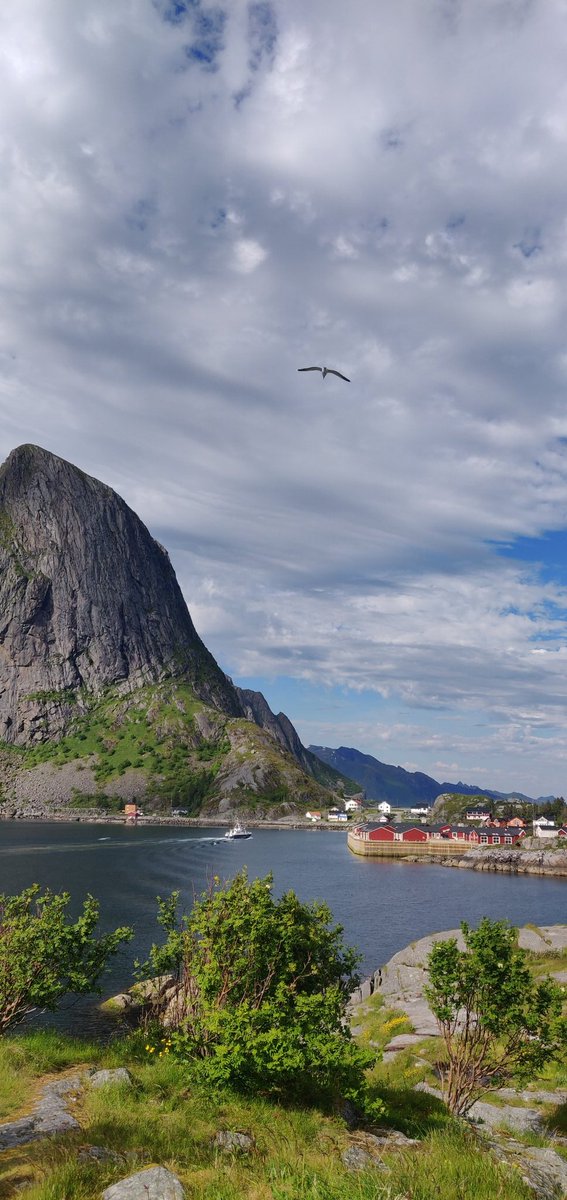 tchandani's tweet photo. If you are traveling to #Lofoten for midsummer, pack for summer, winter, spring and monsoon. Happy midsummer! Hyvää juhannusta! https://t.co/eDMdjvVLdo