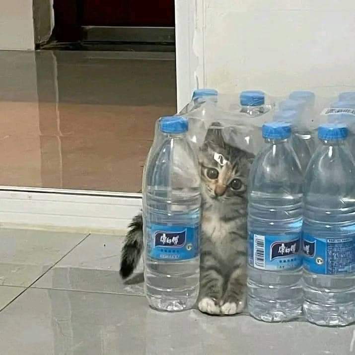 Toma agüita