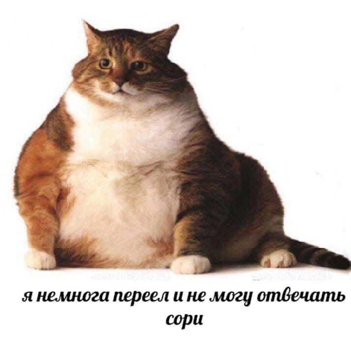 я объелась(((