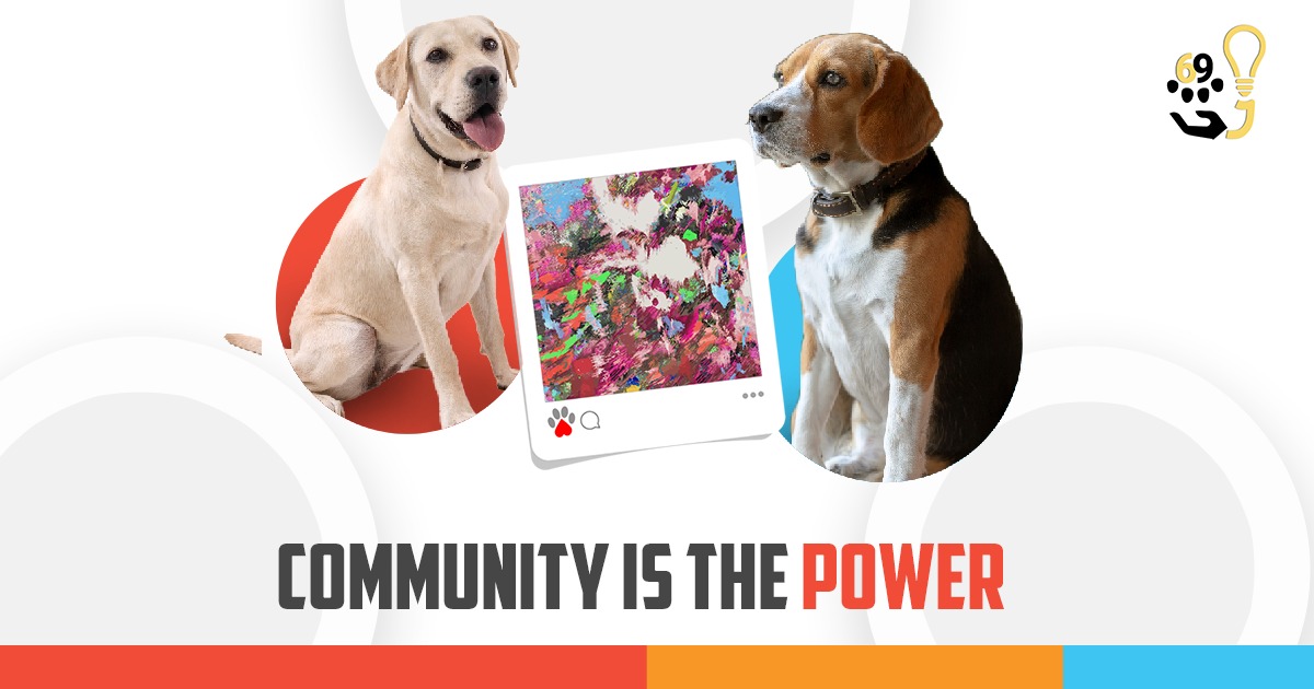 J69_nft's tweet photo. Yo NFT pals!

We strongly believe that building an engaging community is the first success of the project.

Be a part of our community to gain exclusive access and exciting rewards.

Join our Discord today!

https://t.co/mOckx8VT5H
https://t.co/2ZAOOomWiD https://t.co/f6fnbhmhYk