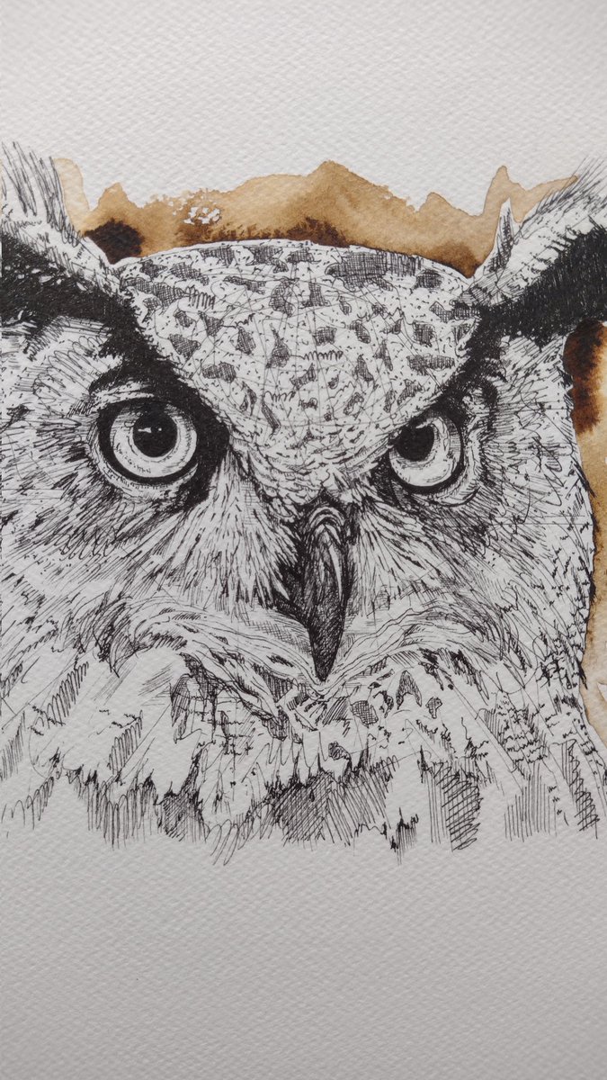 Still working on this owl, lots of mark making in pen. Getting there gradually. #owl #bird #birds #nature #wildlife #ink #pen #paper #originalart #penart #markmaking @BirdWhisperers @CansonPaper @PentelUK @DalerRowney #stcmill @RWABristol @HeartofTheTrib3