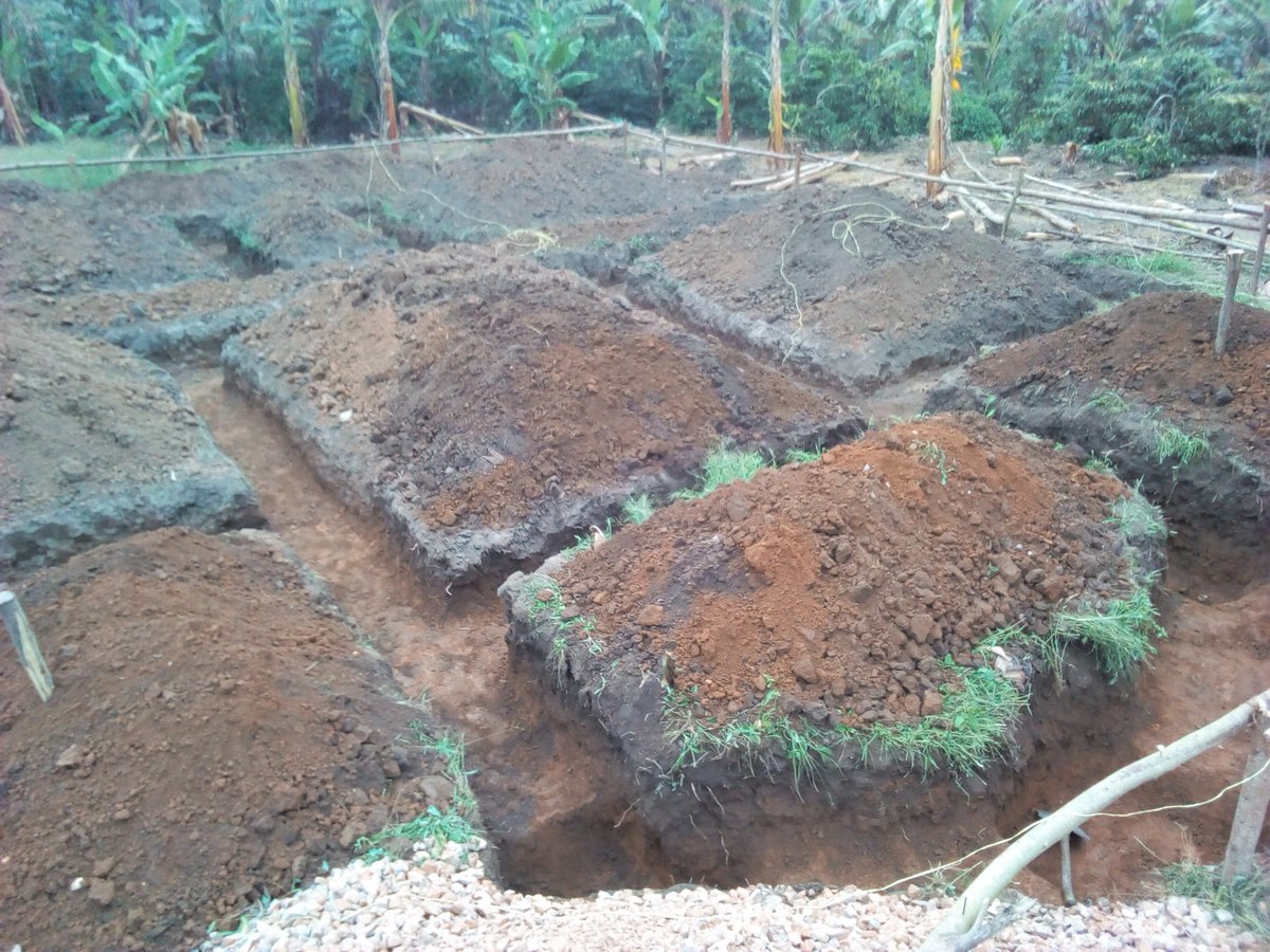 Engineering my profession