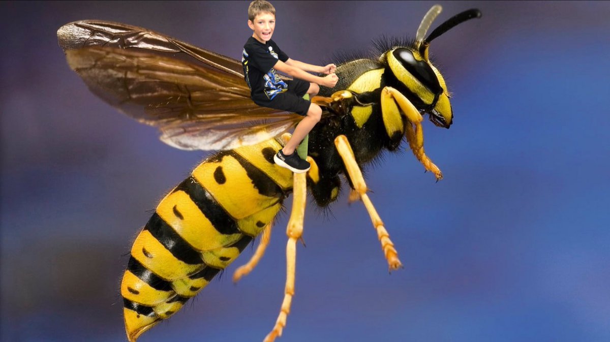 hiebert_amy's tweet photo. Is it Photoshop? Nope, just some cool kids using their imagination, creativity and #ipad skills in #keynote. I love how this week’s theme pics (bugs/nature) for #SummerSchool turned out!
#440proud #summersquad #icancreate #everyonecancreate https://t.co/dDHdTRbrwL