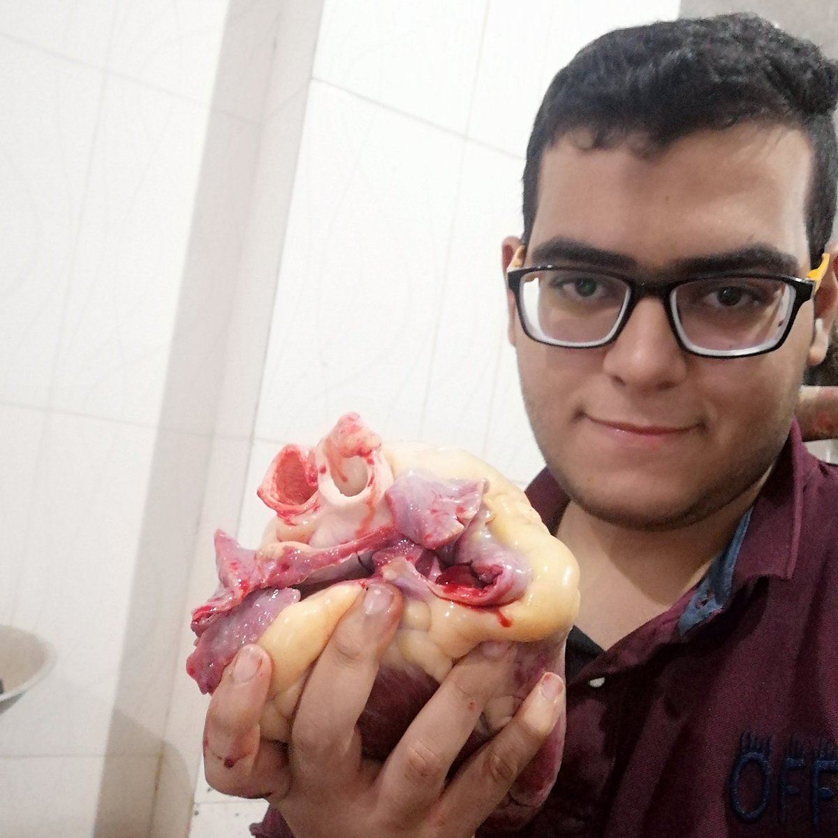 Alzaghal10's tweet photo. #NewProfilePic https://t.co/SzQEi5dlmN