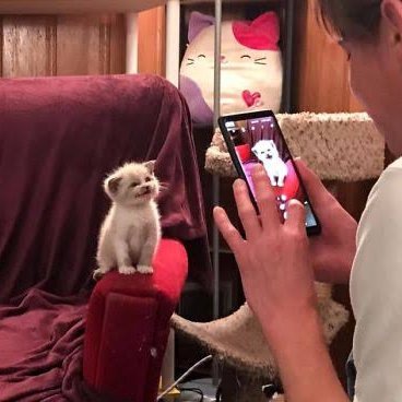 ℐ (@lisaj0lie) on Twitter photo 