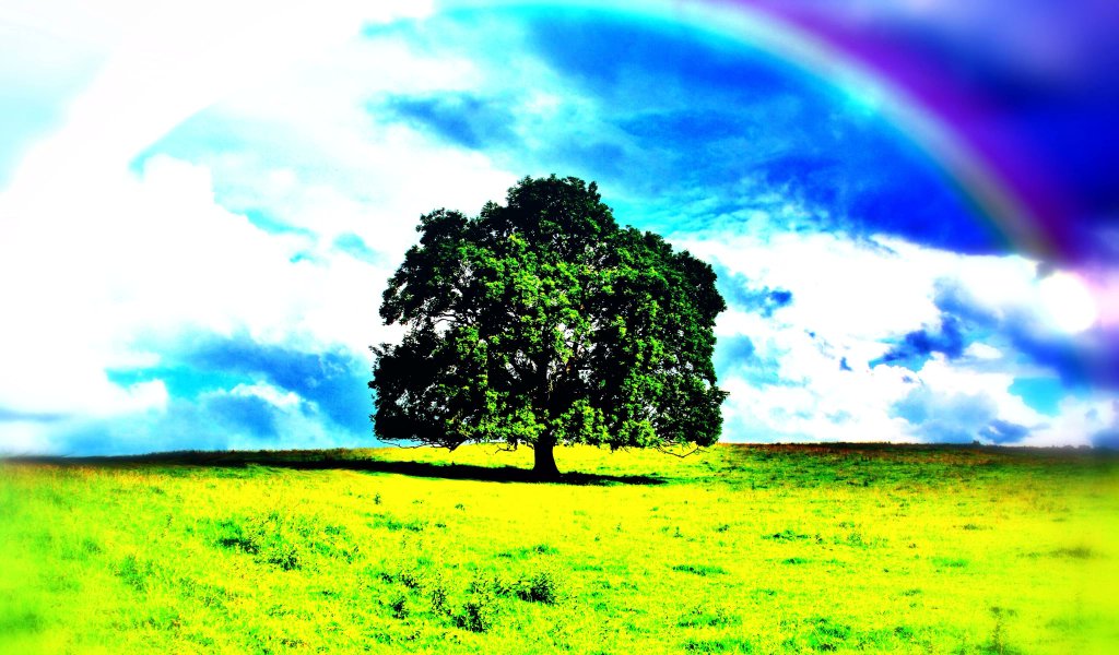 dVbManagement's tweet image. 'Keep a Green Tree in your heart and perhaps a singing bird will come.' - Chinese Proverb