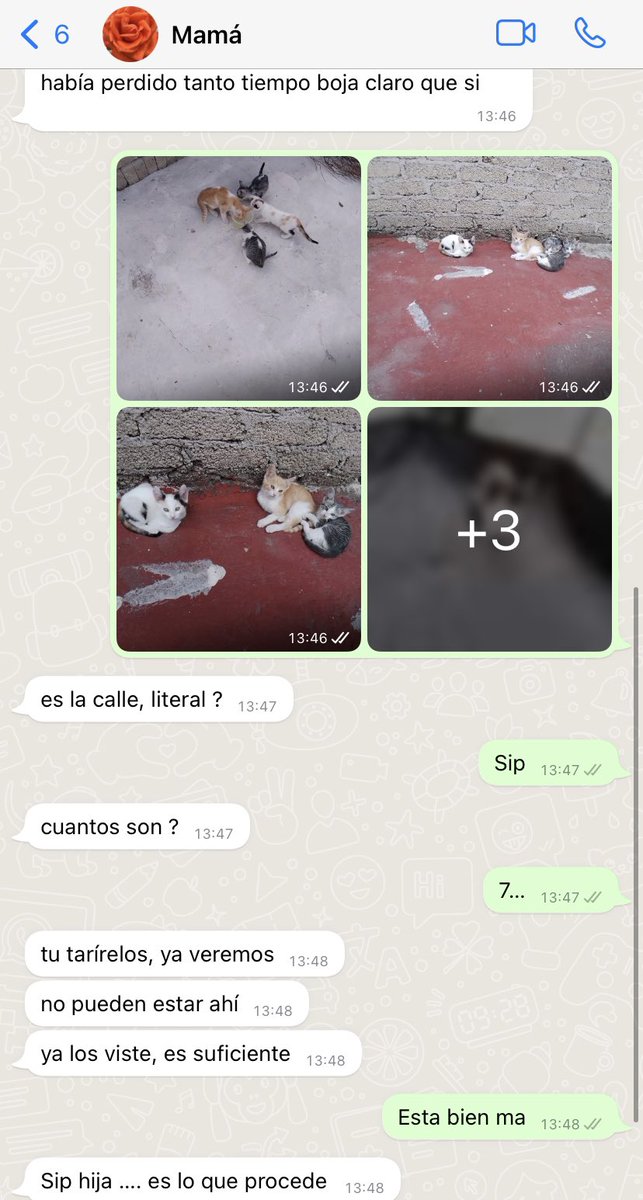 Alina_Gag's tweet photo. Cómo empezó / cómo va https://t.co/xgcR1LBs4U
