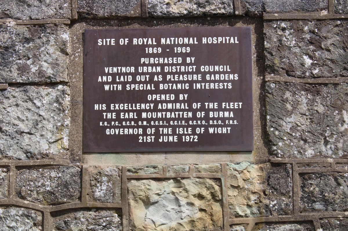 Samantha Cammack-Harding tweet media