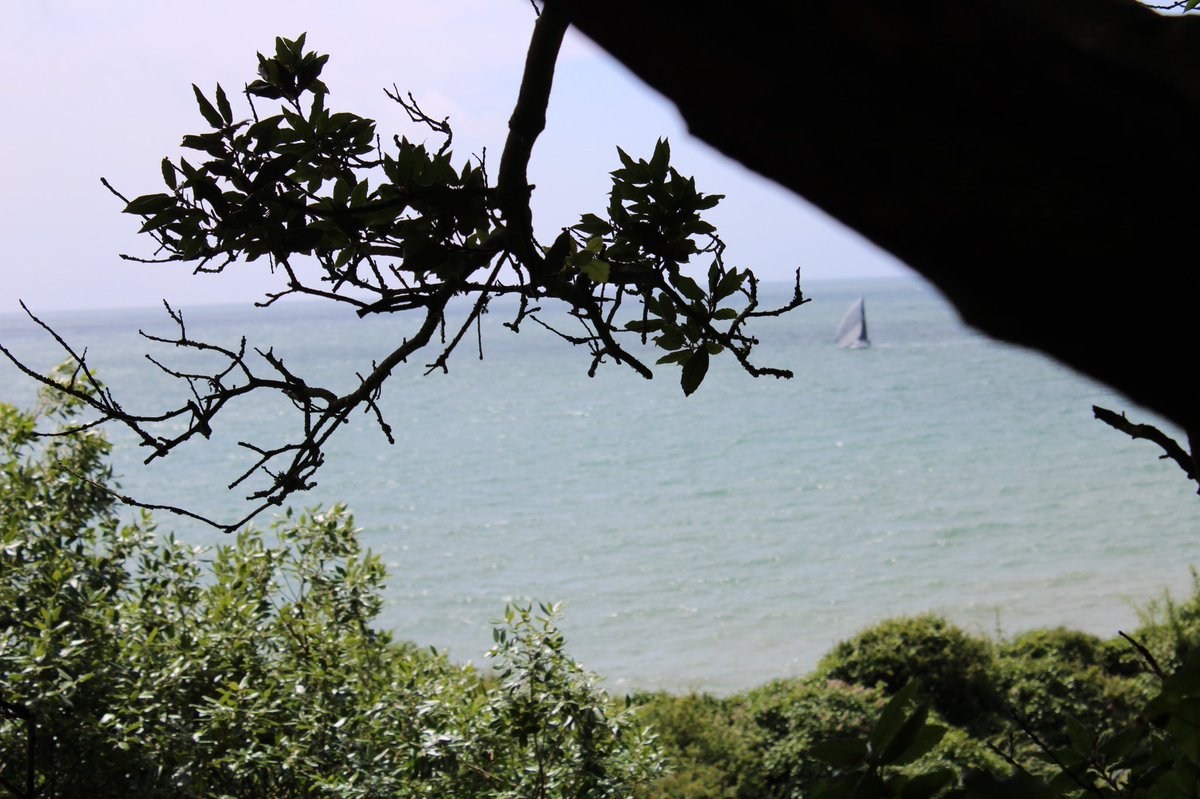 Samantha Cammack-Harding tweet media