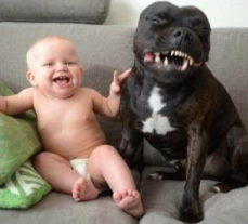 weeweeska's tweet photo. @bennyjohnson this one's really frickin funny to me I love it https://t.co/gbJhzDPTxr