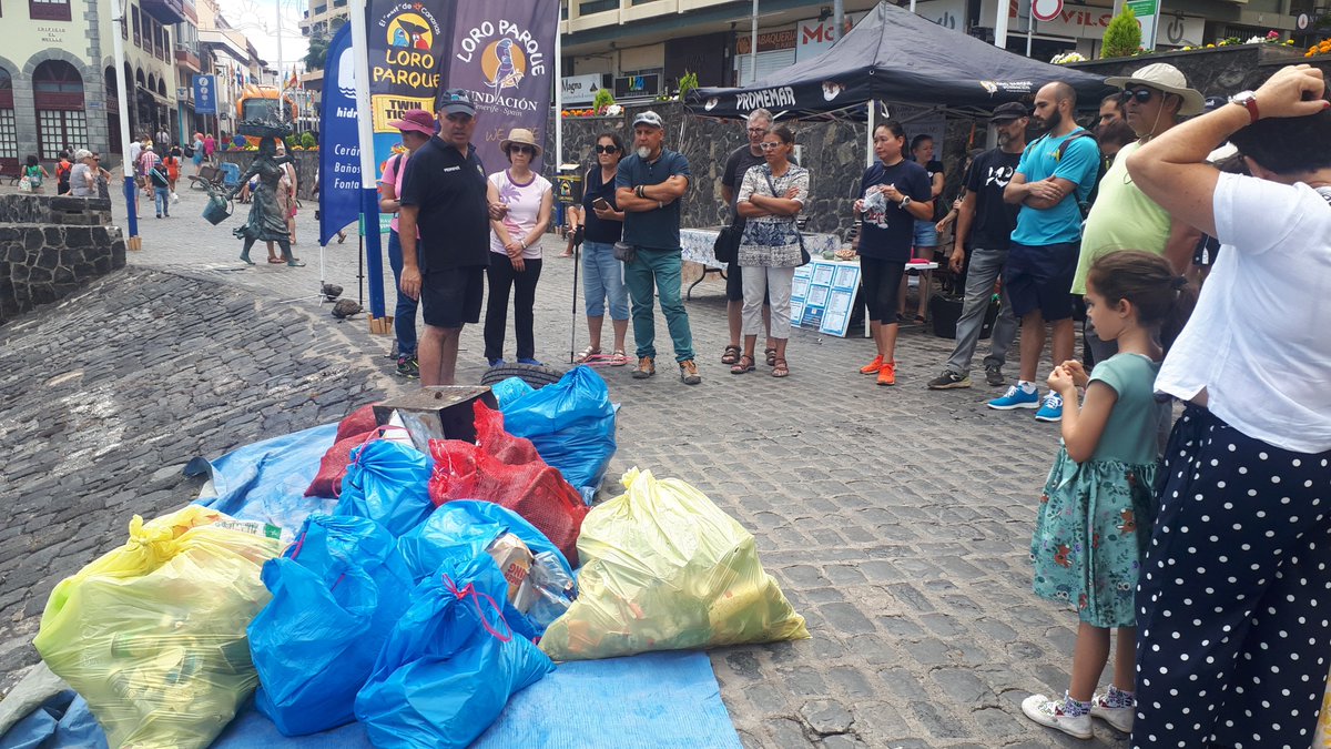 Proyectos Medioambientales Marinos tweet media