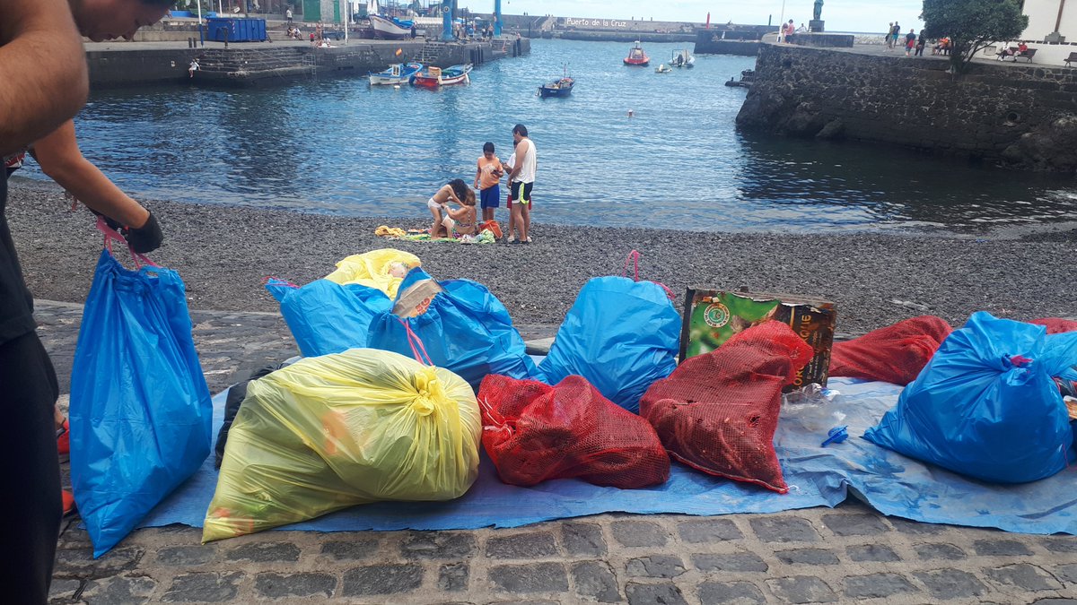 Proyectos Medioambientales Marinos tweet media