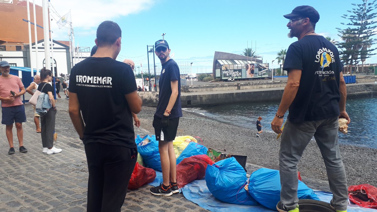 Proyectos Medioambientales Marinos tweet media