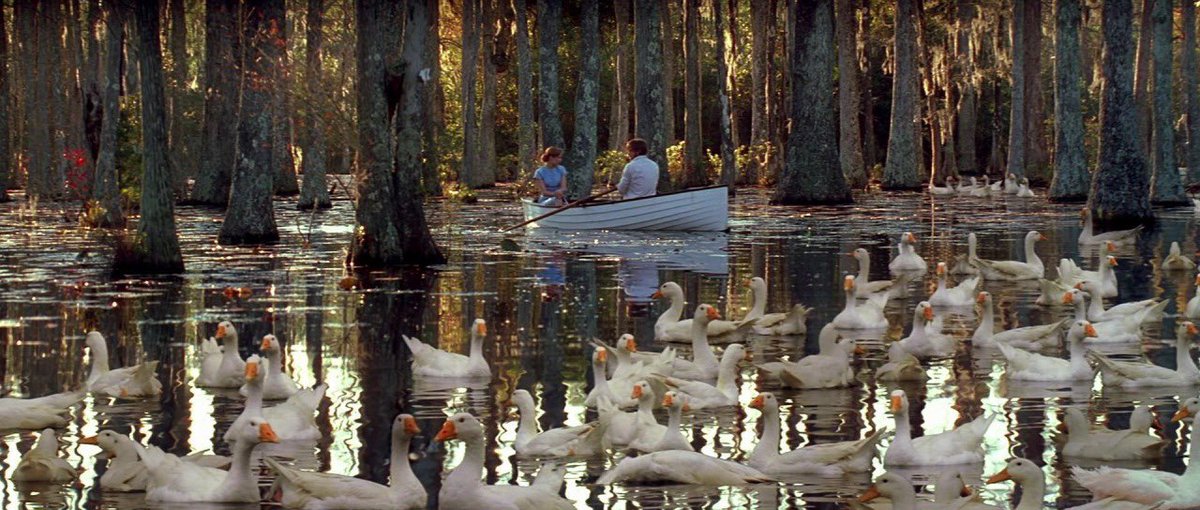 DiscussingFilm's tweet photo. 18 years ago today, ‘THE NOTEBOOK’ released in theaters. https://t.co/zzGLDsNHqM