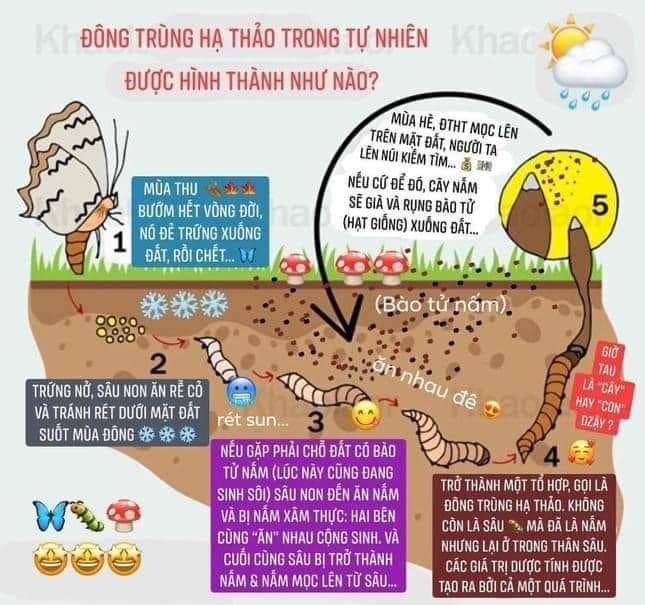 LngThThu11's tweet photo. @jojnguyen79 https://t.co/pCLUrpAjdM