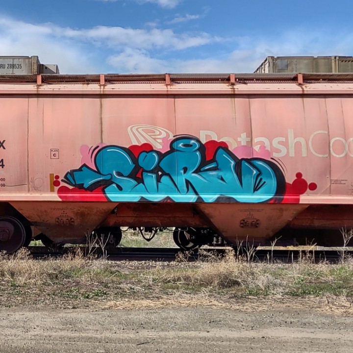 GraffitiExpress's tweet photo. sirvo
#kamloops #train #graffiti #art
#sirvo https://t.co/DGmgmD46ZR