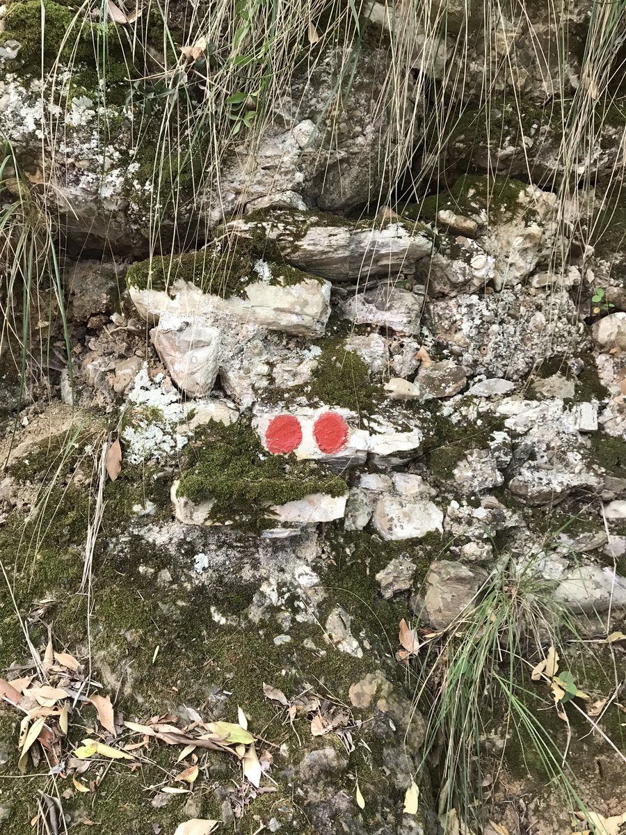 HelenKM22's tweet image. Great to be back on the trails - and hot hot hot! 🥾 🥾🇮🇹