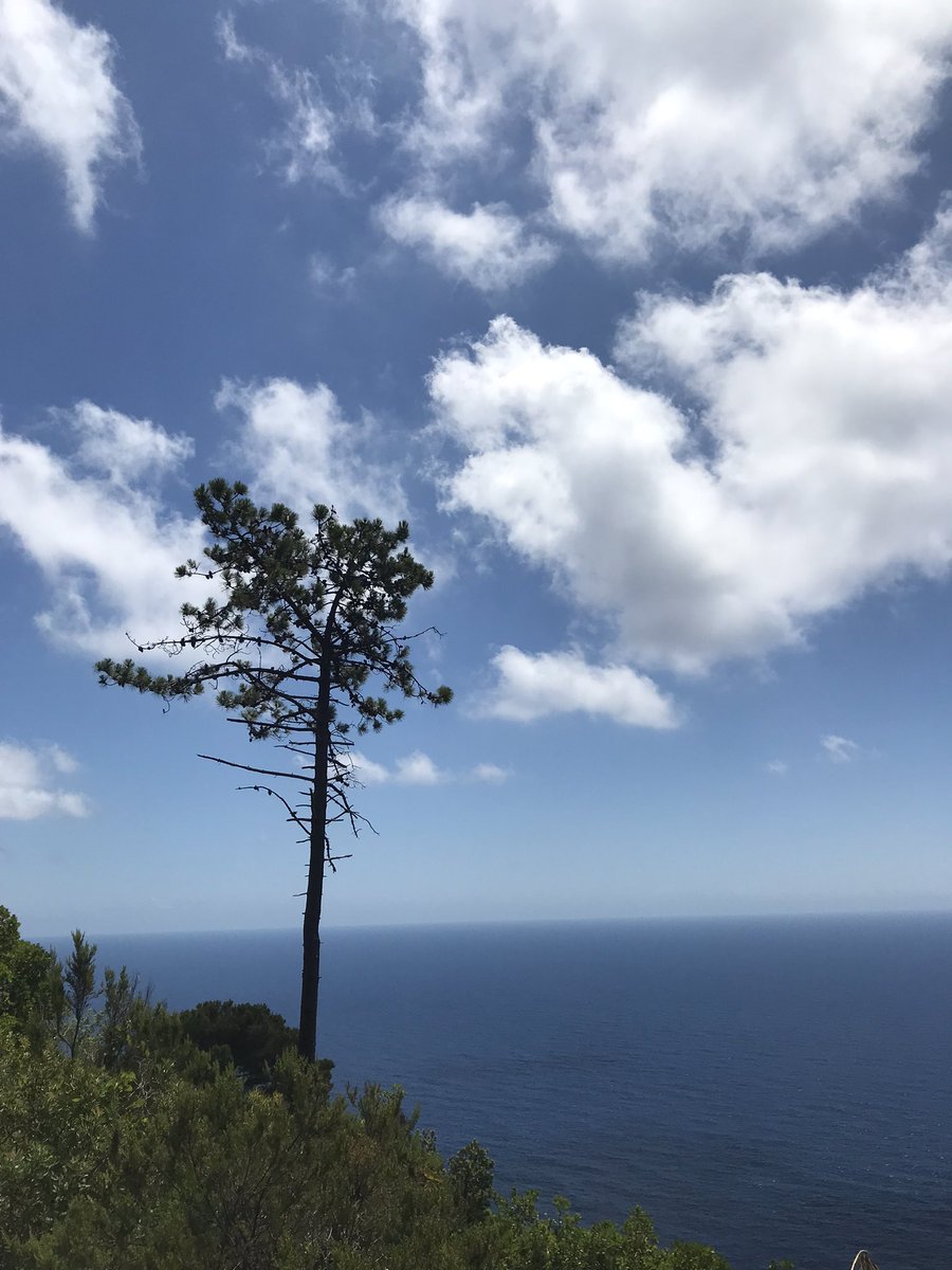 HelenKM22's tweet image. Great to be back on the trails - and hot hot hot! 🥾 🥾🇮🇹