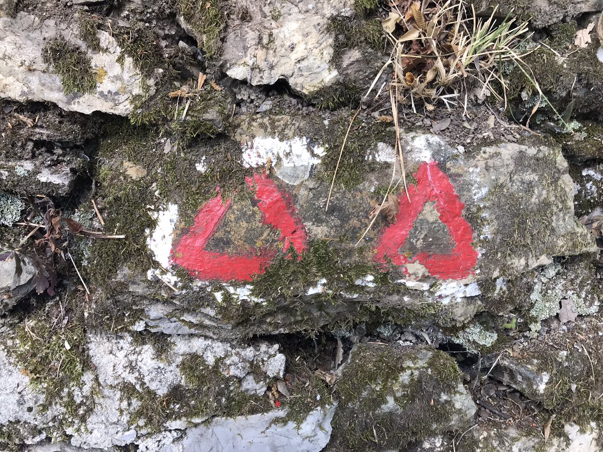 HelenKM22's tweet image. Great to be back on the trails - and hot hot hot! 🥾 🥾🇮🇹