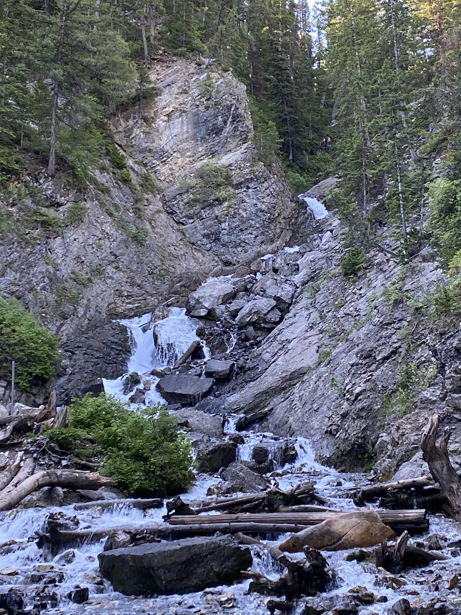 Aaron Leifer tweet media