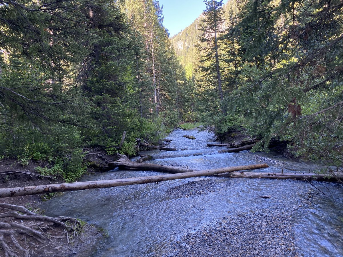 Aaron Leifer tweet media