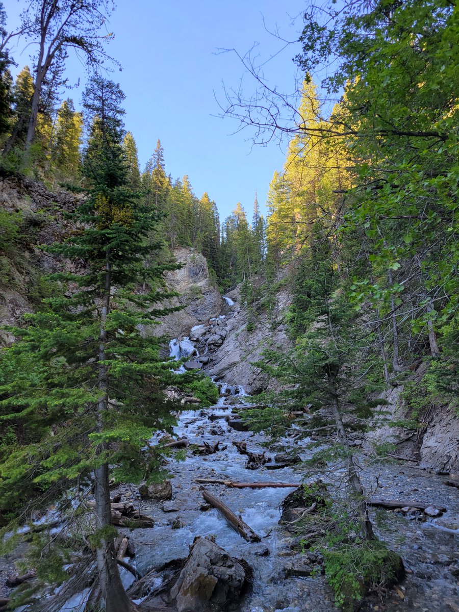 Corey N Cunningham tweet media