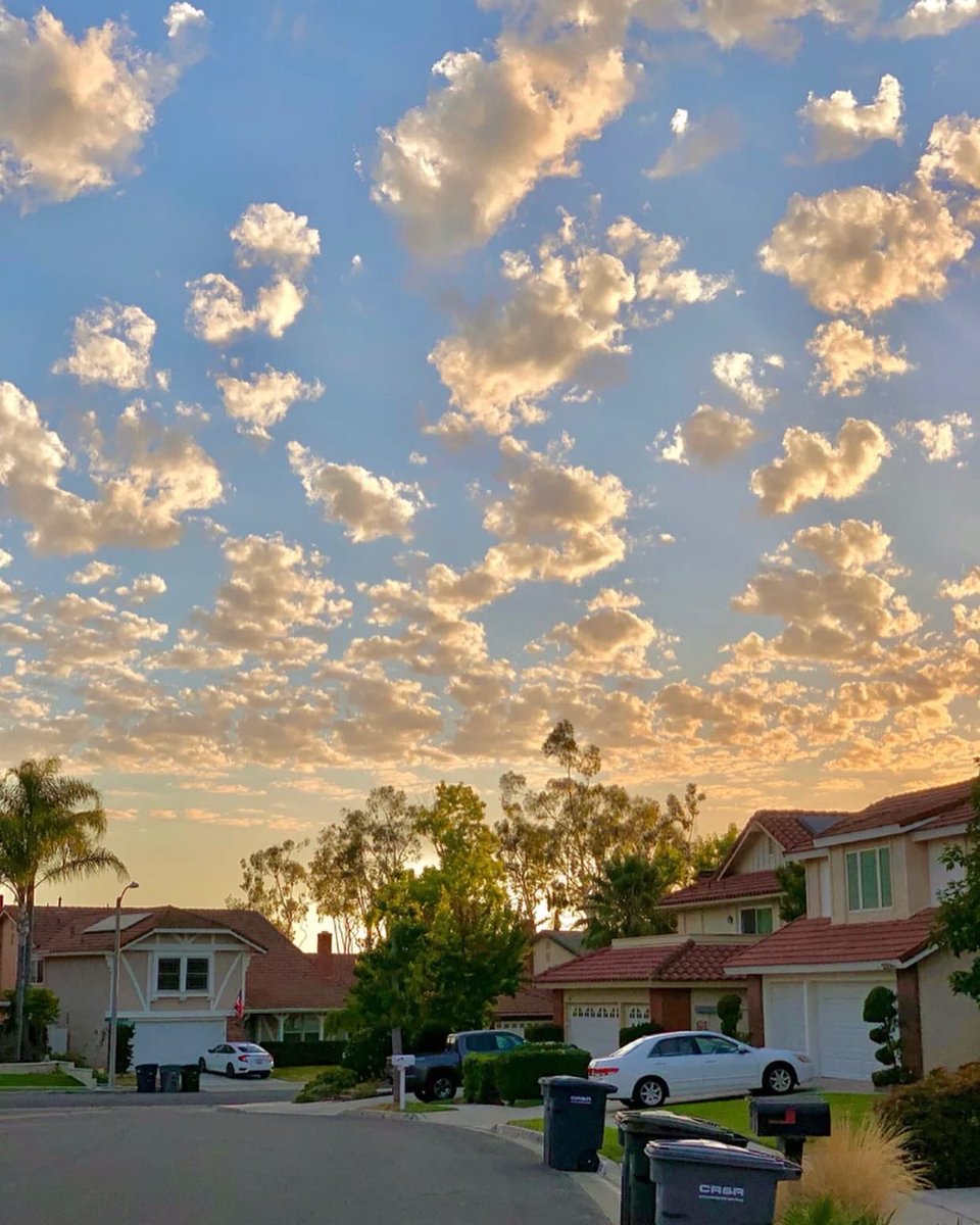 Isabella 🇺🇸 tweet media