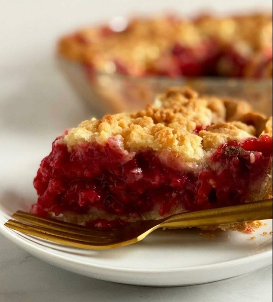 jessiesbakes's tweet photo. slice o’ crumb topped raspberry pie with easiest ever crust (aka pie assembled and in the oven in 20 minutes) from #snackablebakes (a book i wrote that i wonder if you’d consider purchasing?). Link to recipe in my profile. https://t.co/YcVMwXkxOW