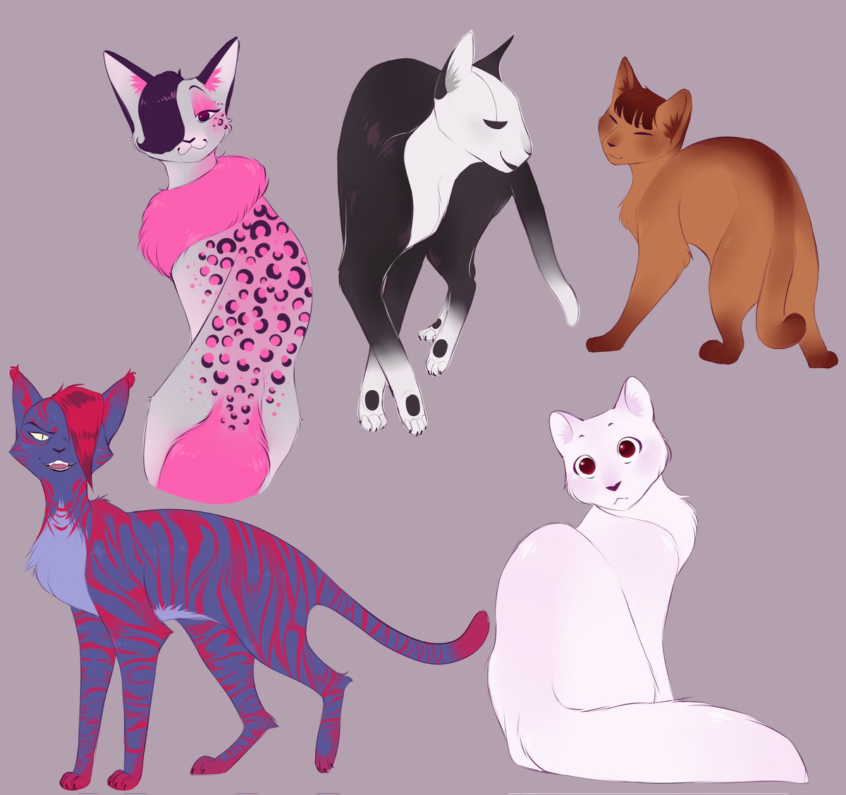 polina4221's tweet photo. I suddenly wanted to draw a cattale
#undertaleau #undertale #cattale #undertaleart #undertaleFanart  #art #catart https://t.co/m8VOCxIDlx