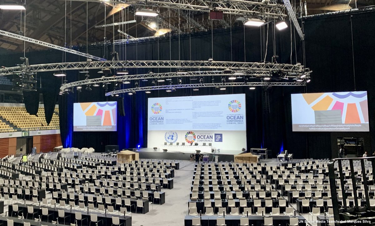 United Nations tweet media